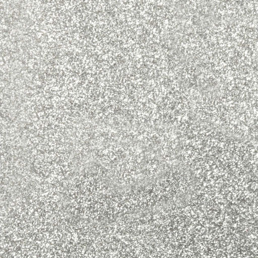 Siser Glitter HTV 12 x 20 Sheet - Gold Confetti